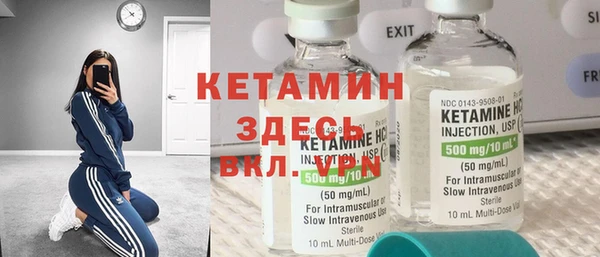 стаф Корсаков
