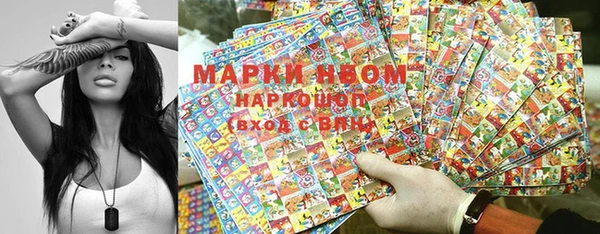 стаф Корсаков