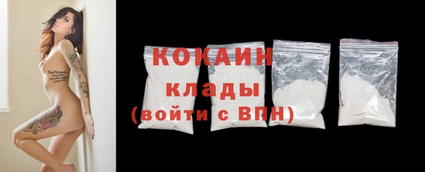 стаф Корсаков