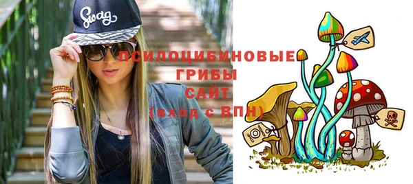 дурь Кодинск