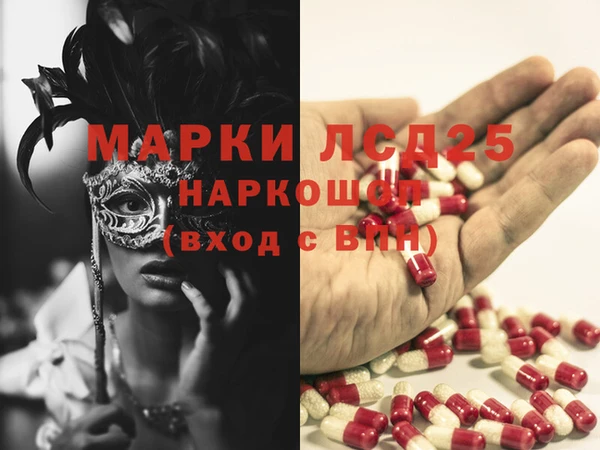 стаф Корсаков