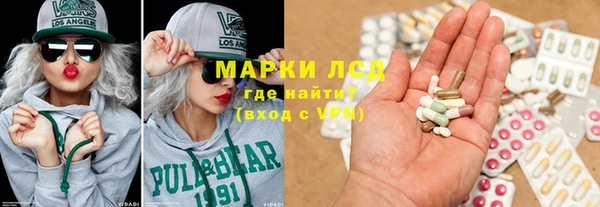 стаф Корсаков