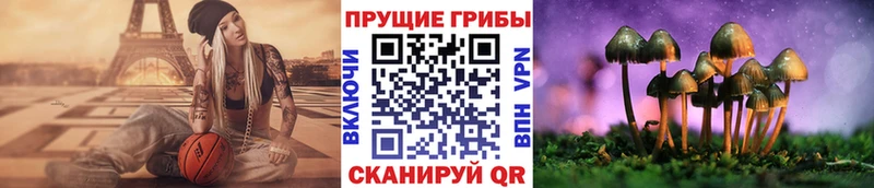 Купить где  Мичуринск  Галлюциногенные грибы MAGIC MUSHROOMS 